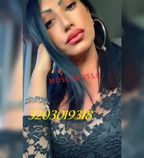 nacheca incontri caserta|Escort Caserta